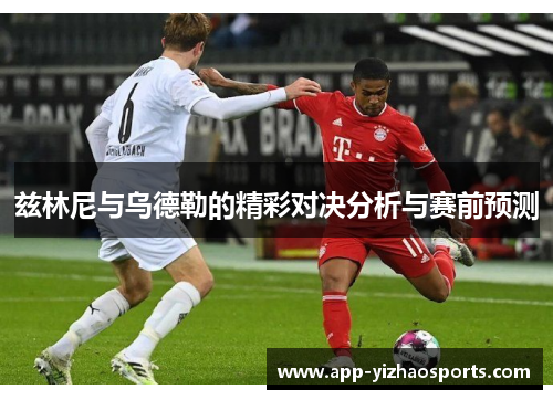 兹林尼与乌德勒的精彩对决分析与赛前预测